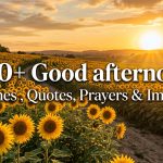 250+ Good afternoon Wishes , Quotes, Prayers & Images