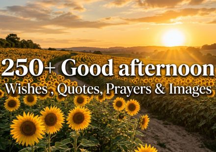 250+ Good afternoon Wishes , Quotes, Prayers & Images