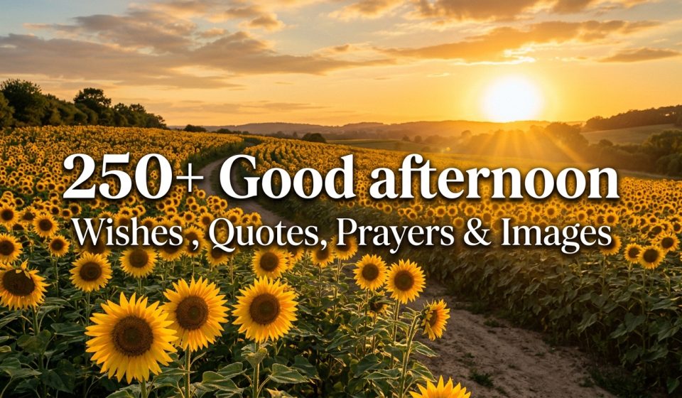 250+ Good afternoon Wishes , Quotes, Prayers & Images